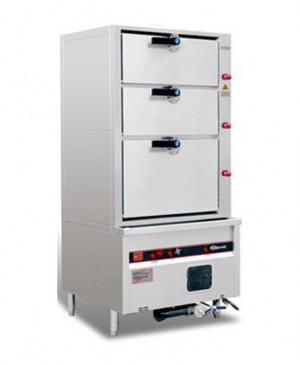 佰菲環保型油氣兩用蒸柜